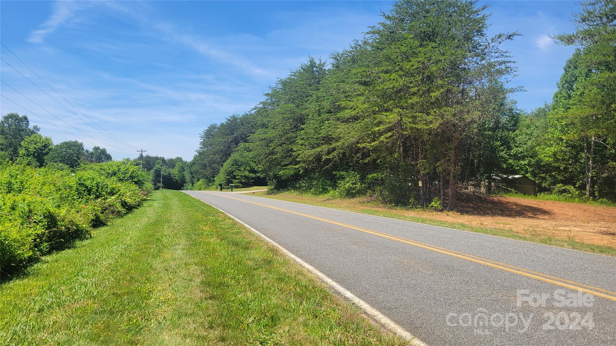 0 Ritchie Road Lincolnton, NC 28092 - Photo 10 of 10 a view of a yard with a large trees