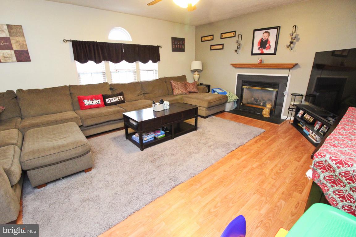 615 Walnut Grove Road Baltimore, MD 21221 - Photo 20 of 47 Gas Fireplace