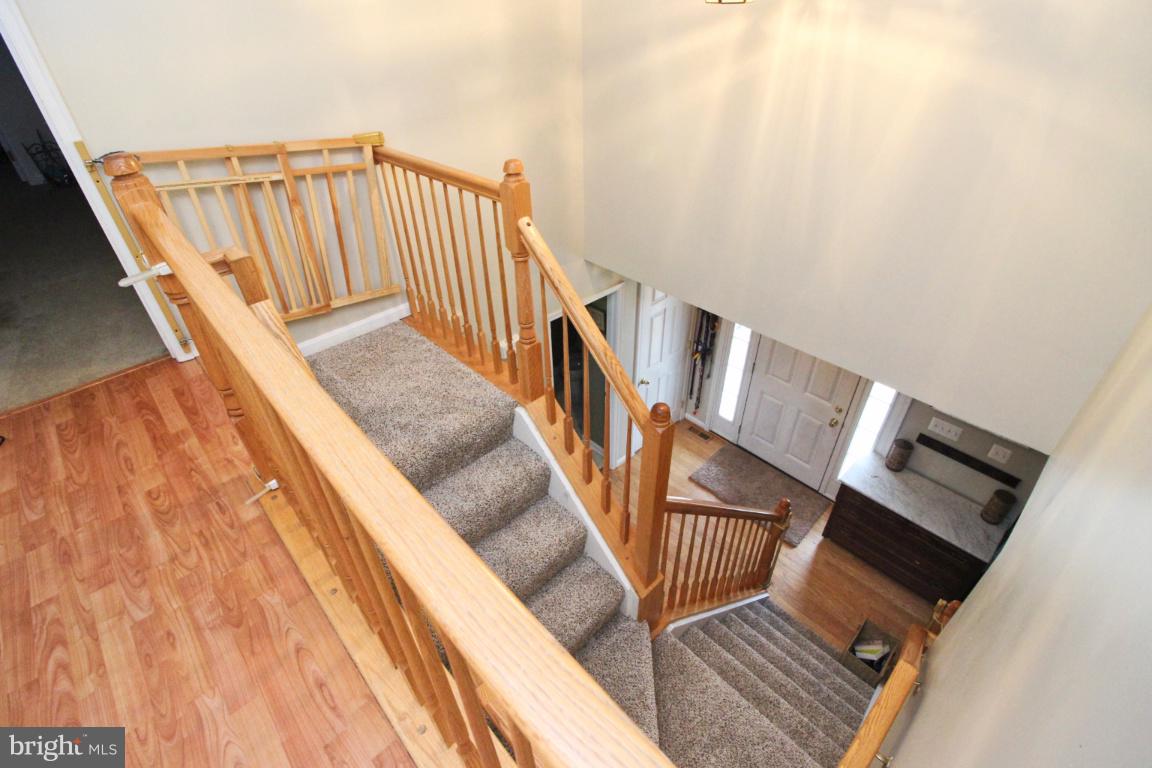 615 Walnut Grove Road Baltimore, MD 21221 - Photo 23 of 47 New carpet on stairs