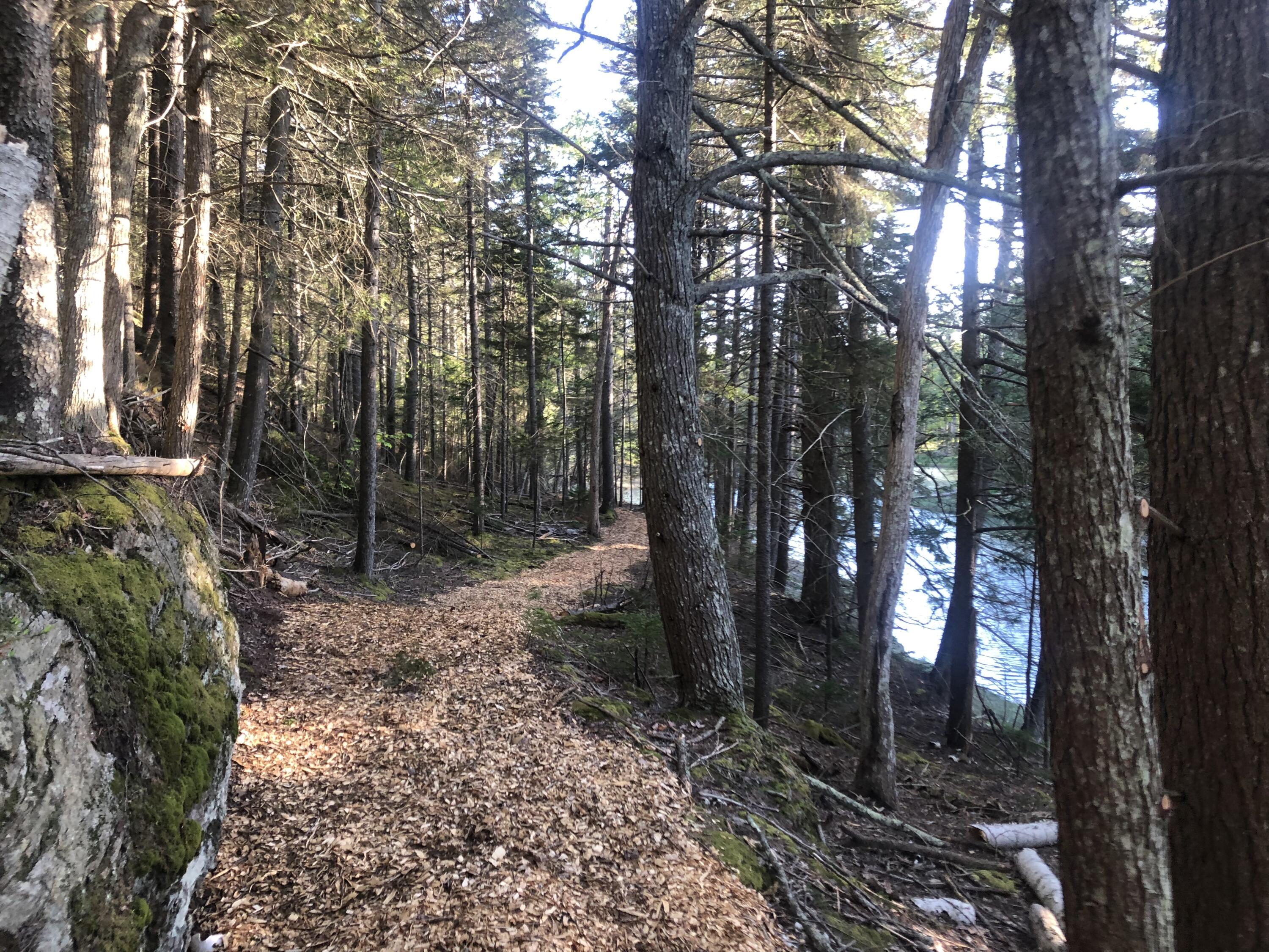 Lot 19 Mountain Road West Bath, ME 04530 - Photo 8 of 18 Shore Path