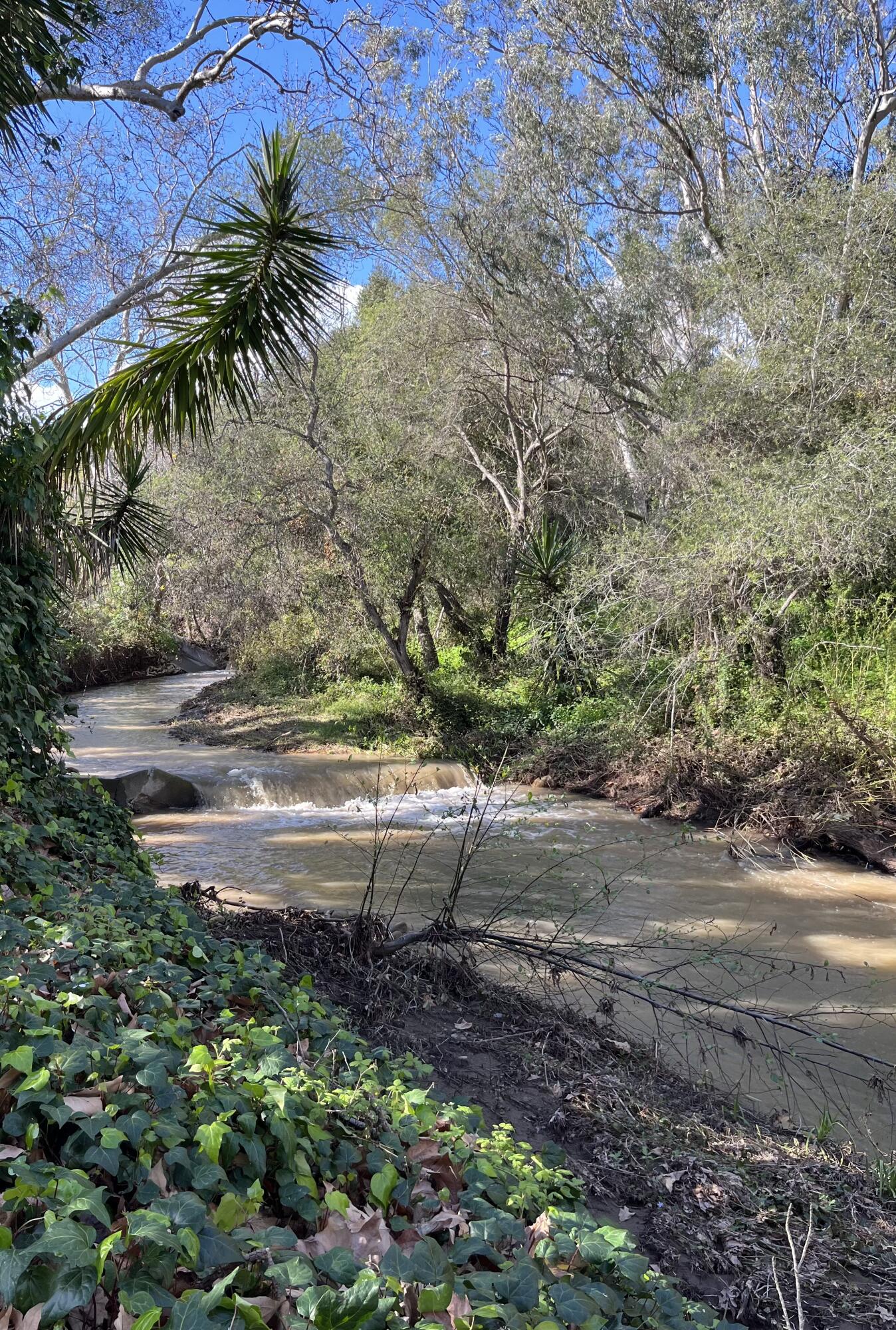 8352 Vereda Del Padre Goleta, CA 93117 - Photo 50 of 53 Creek
