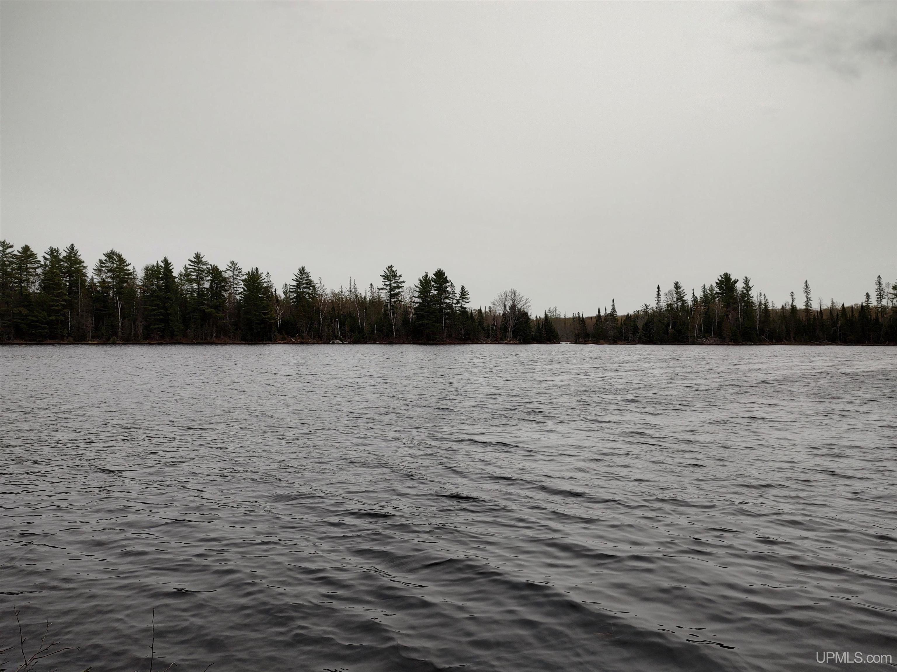 10 Fence Lake Road Michigamme, MI 49861 - Photo 11 of 42