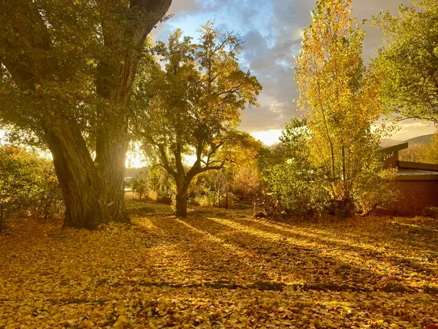 $625,000 | 1222 3rd Street, Paonia, CO 81428