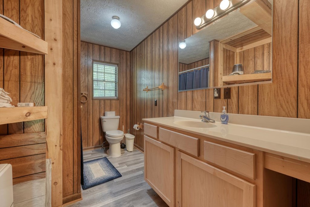 476 Ray Lewis Road Young Harris, GA 30582 - Photo 29 of 51 Gallery Image 29