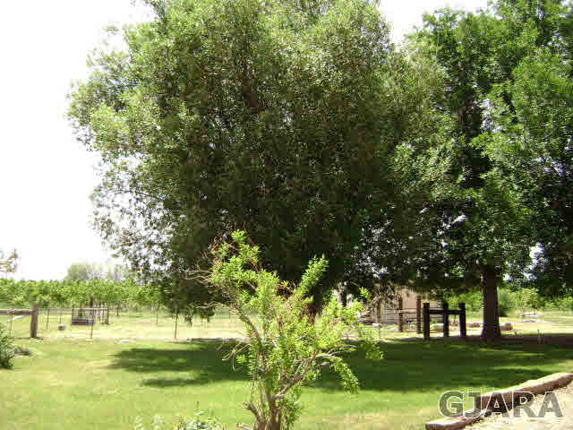 655 35 Road Clifton, CO 81520 - Photo 3 of 16 a view of a golf course with a garden