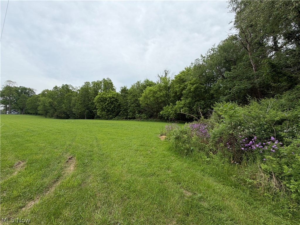 9098 Diagonal Road Streetsboro, OH 44241 - Photo 1 of 25 Expansive green field bordered by mature trees and natural shrubbery with purple flowering plants