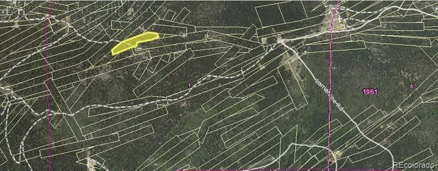 a view of a garden with plants