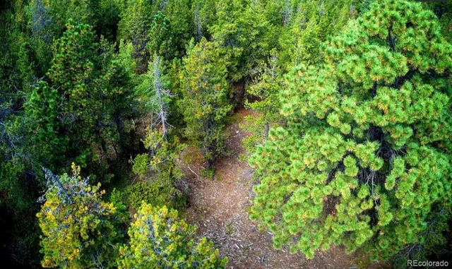 $33,900 | 123 Lamartine Road, Idaho Springs, CO 80452