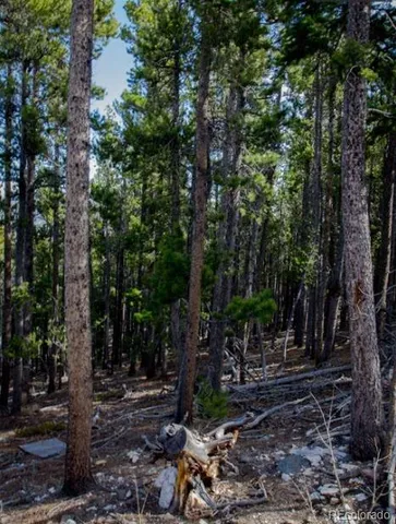 $33,900 | 123 Lamartine Road, Idaho Springs, CO 80452