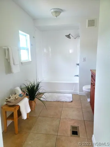 a bathroom with a potted plant and a bath tub