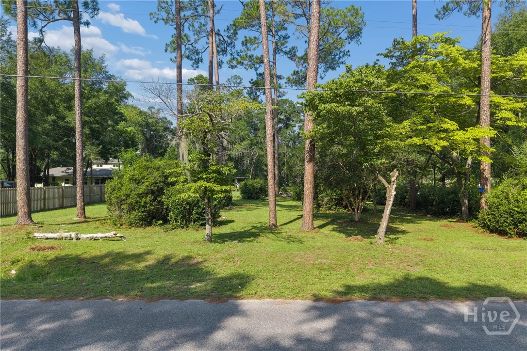5 Pine Ridge Trail Ellabell, GA 31308 - Photo 14 of 23 Gallery Image 14