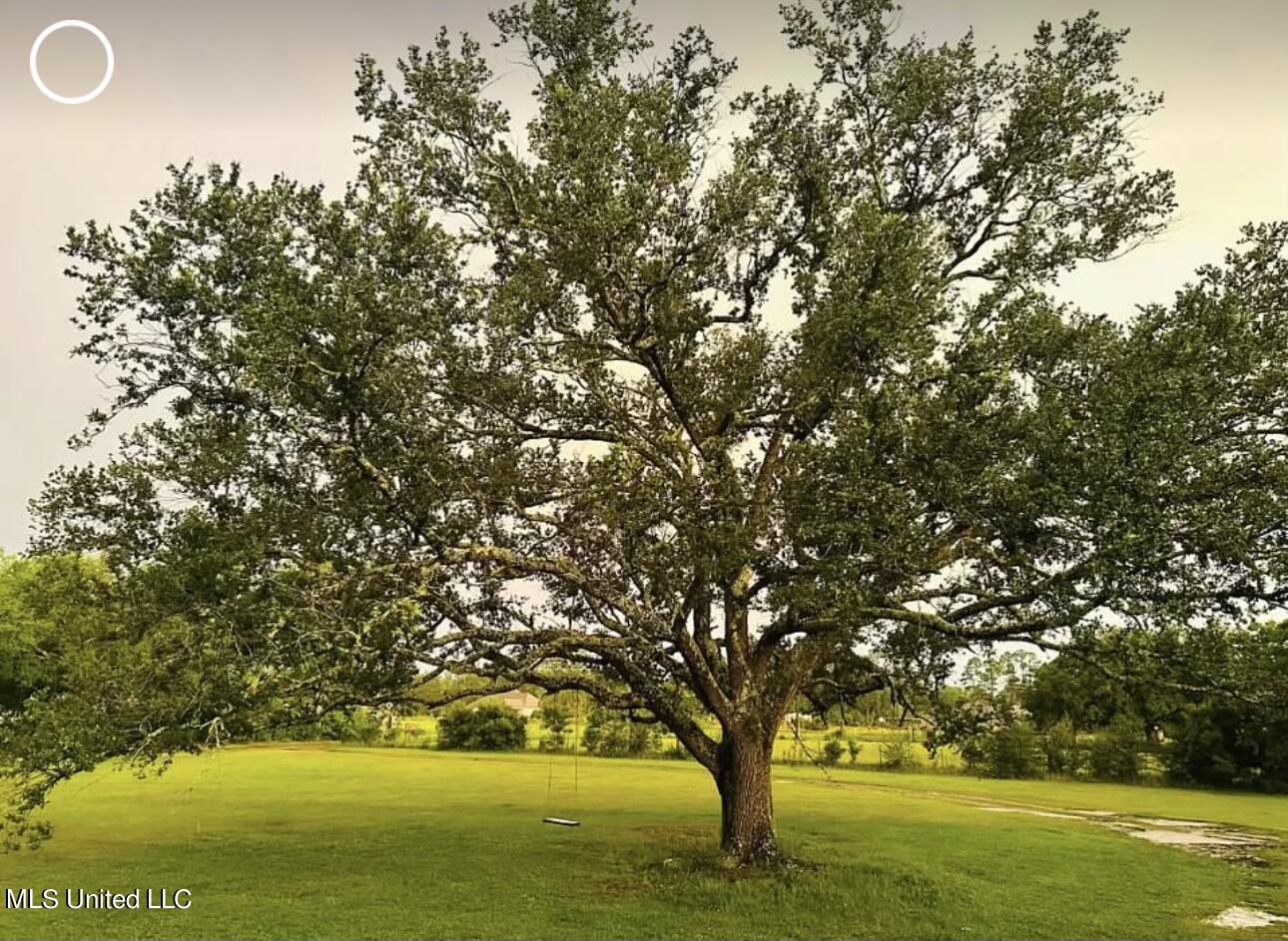 10182 Jim Ramsay Loop Vancleave, MS 39565 - Photo 18 of 19 Live Oaks