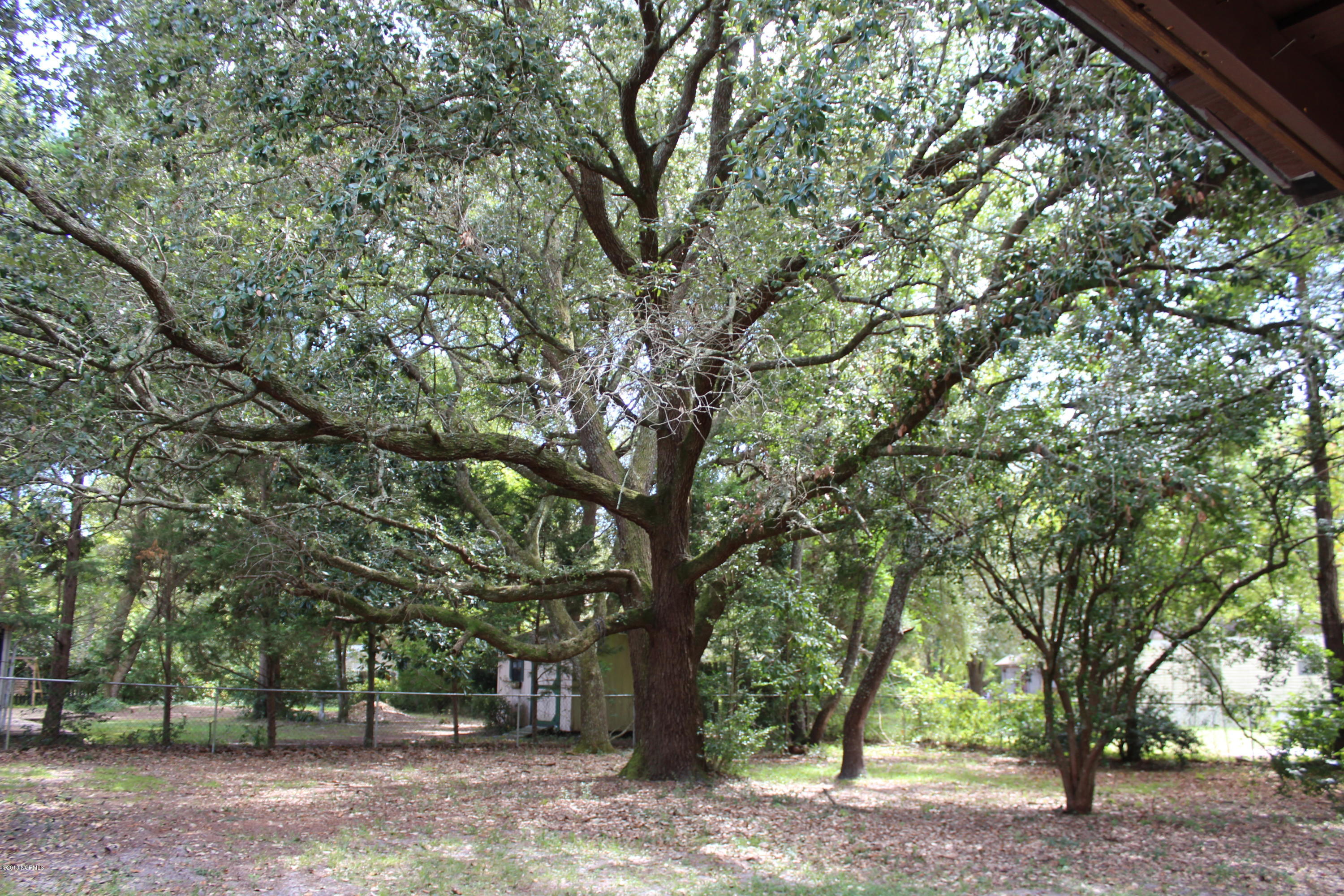 145 Graystone Road Wilmington, NC 28411 - Photo 3 of 19 IMG_3079