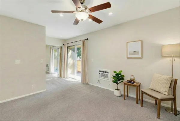 a view of a livingroom with furniture and a potted plant