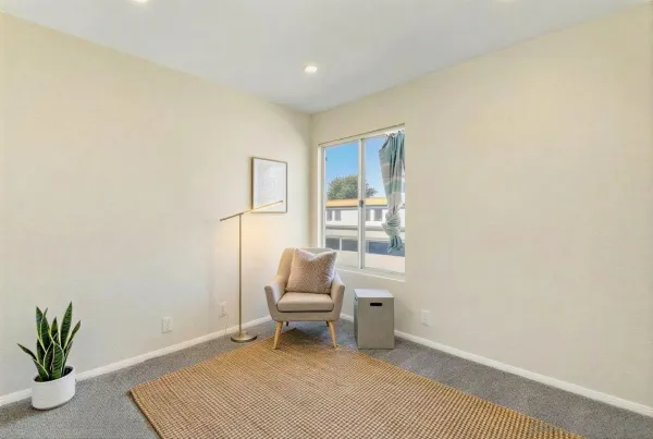 a room with furniture and a potted plant