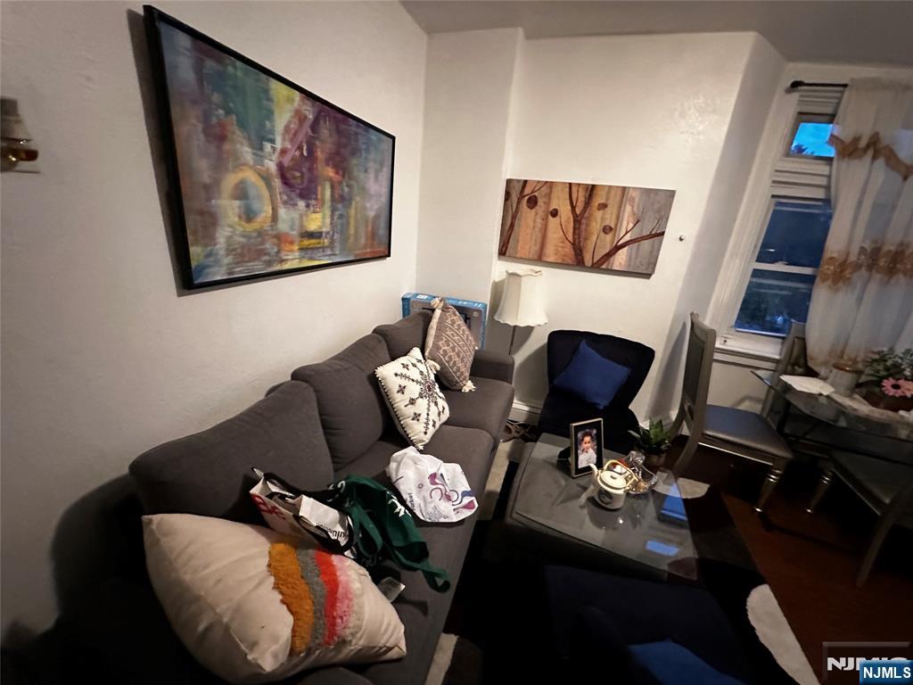 366 Summer Avenue Newark, NJ 07104 - Photo 3 of 22 a living room with furniture flowerpot and rug