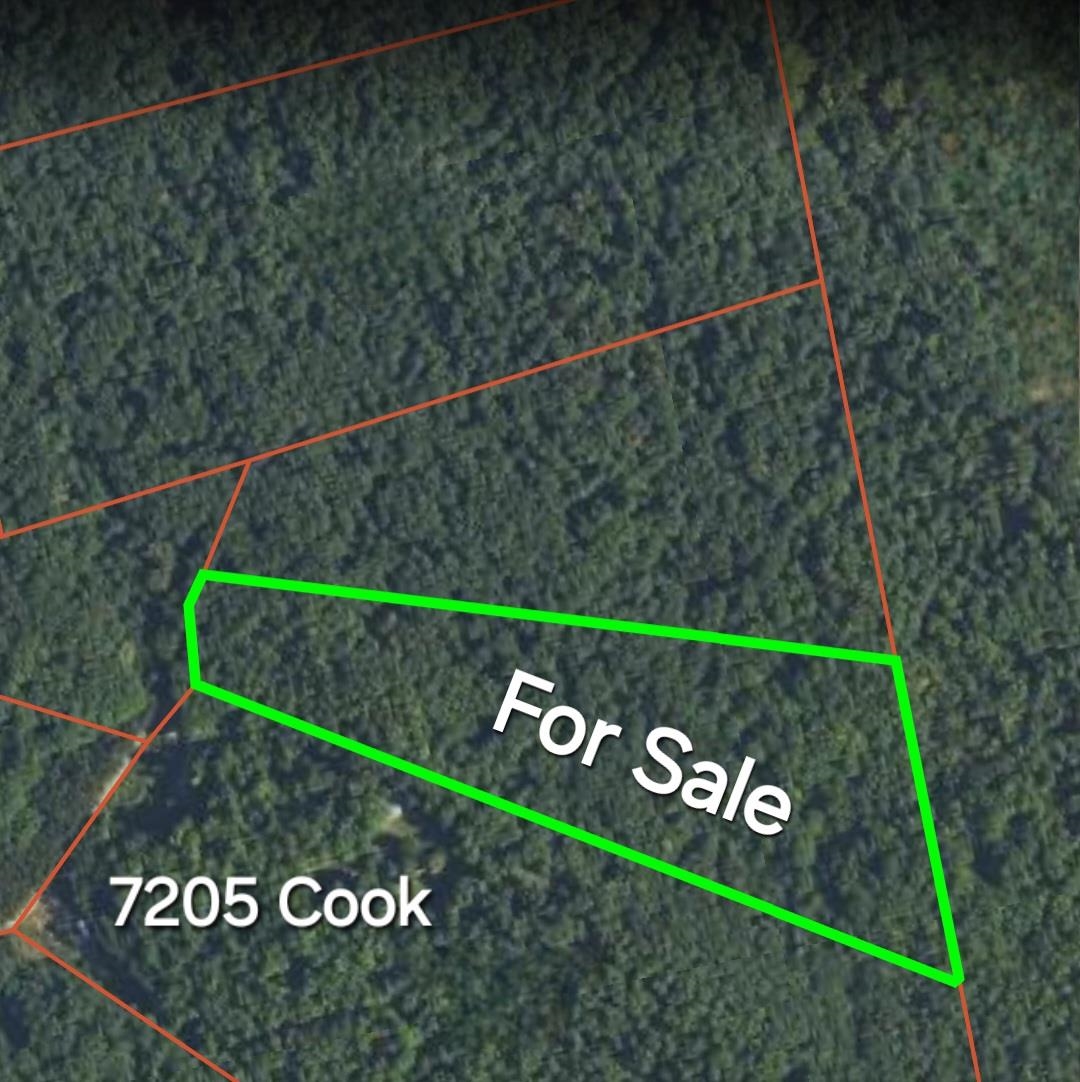 5 Cook Road Bellaire, MI 49615 - Photo 2 of 6