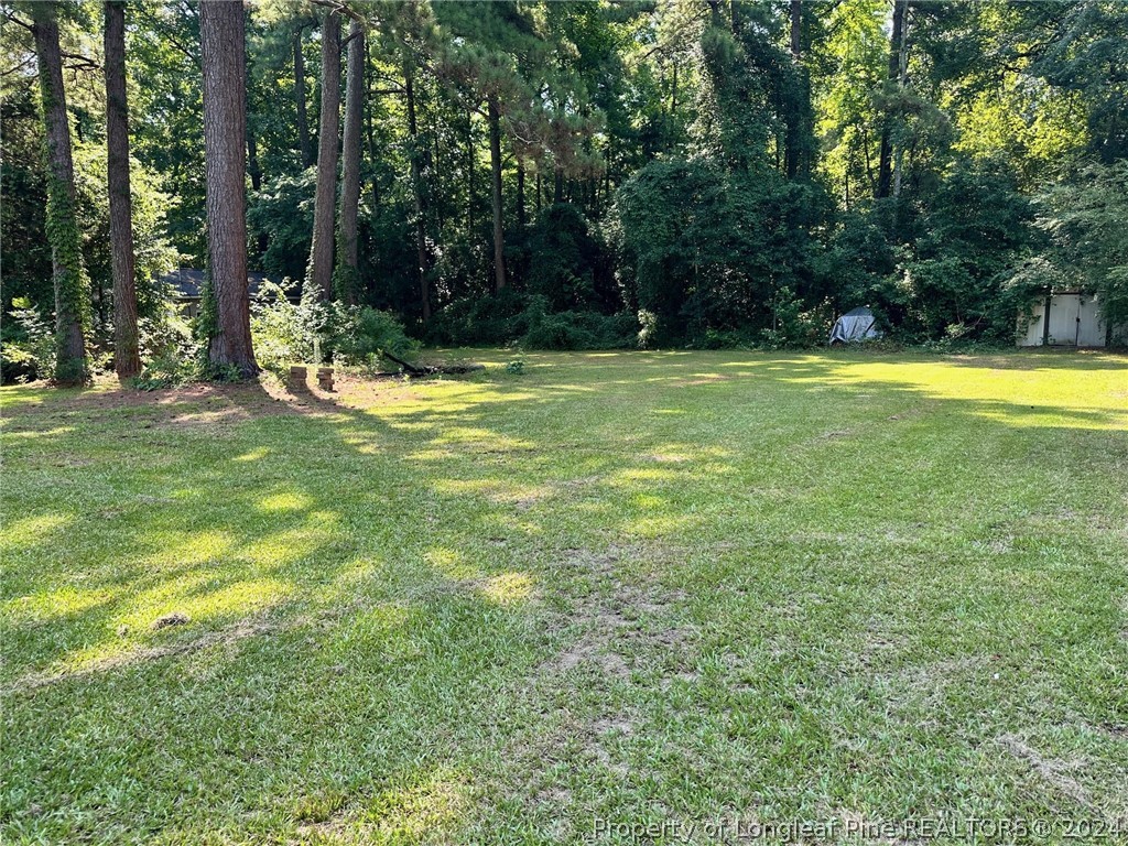 419 Porter Road Hope Mills, NC 28348 - Photo 16 of 17 Gallery Image 16