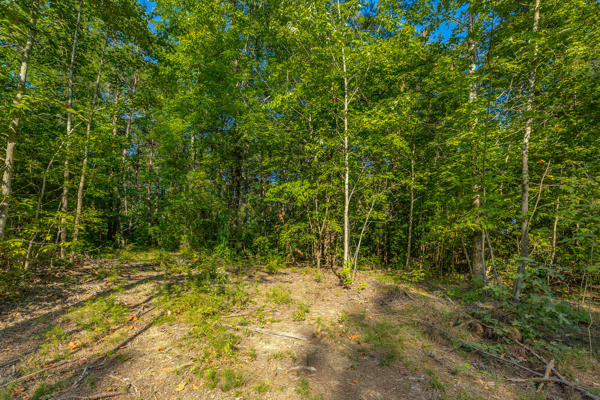 0 High Ground Road, Unit LOT 2218 Guild, TN 37340 - Photo 27 of 115 0 High Ground Road - Lot 2218 HD-62