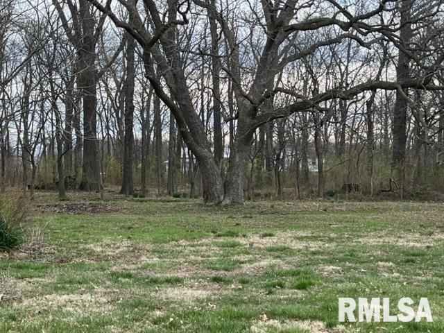 3345 Boone St Road Salem, IL 62881 - Photo 20 of 21