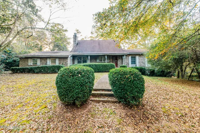a view of a yard with a large tree