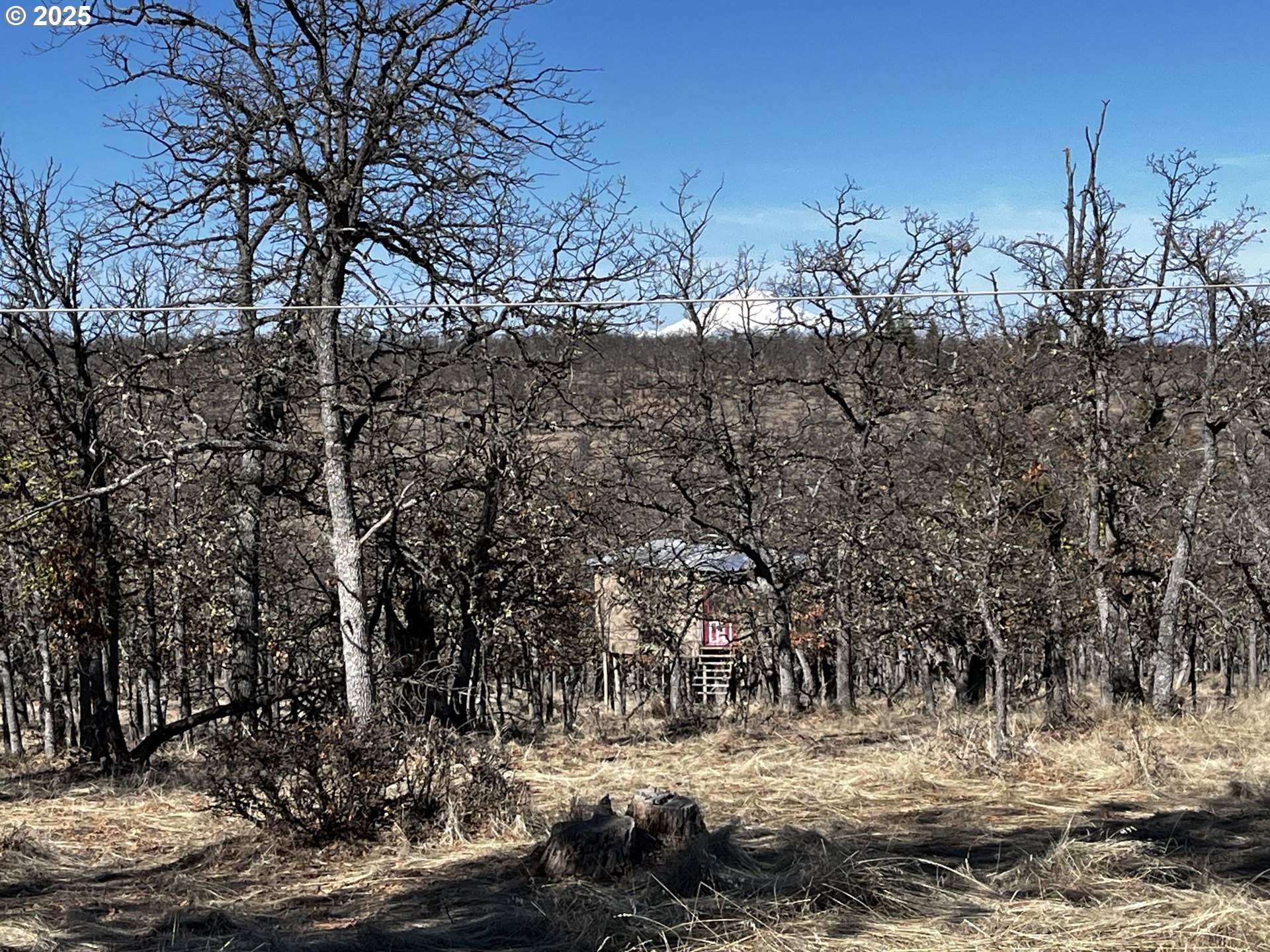 80163 South Ridgetop-s Road Dufur, OR 97021 - Photo 12 of 23 Gallery Image 12
