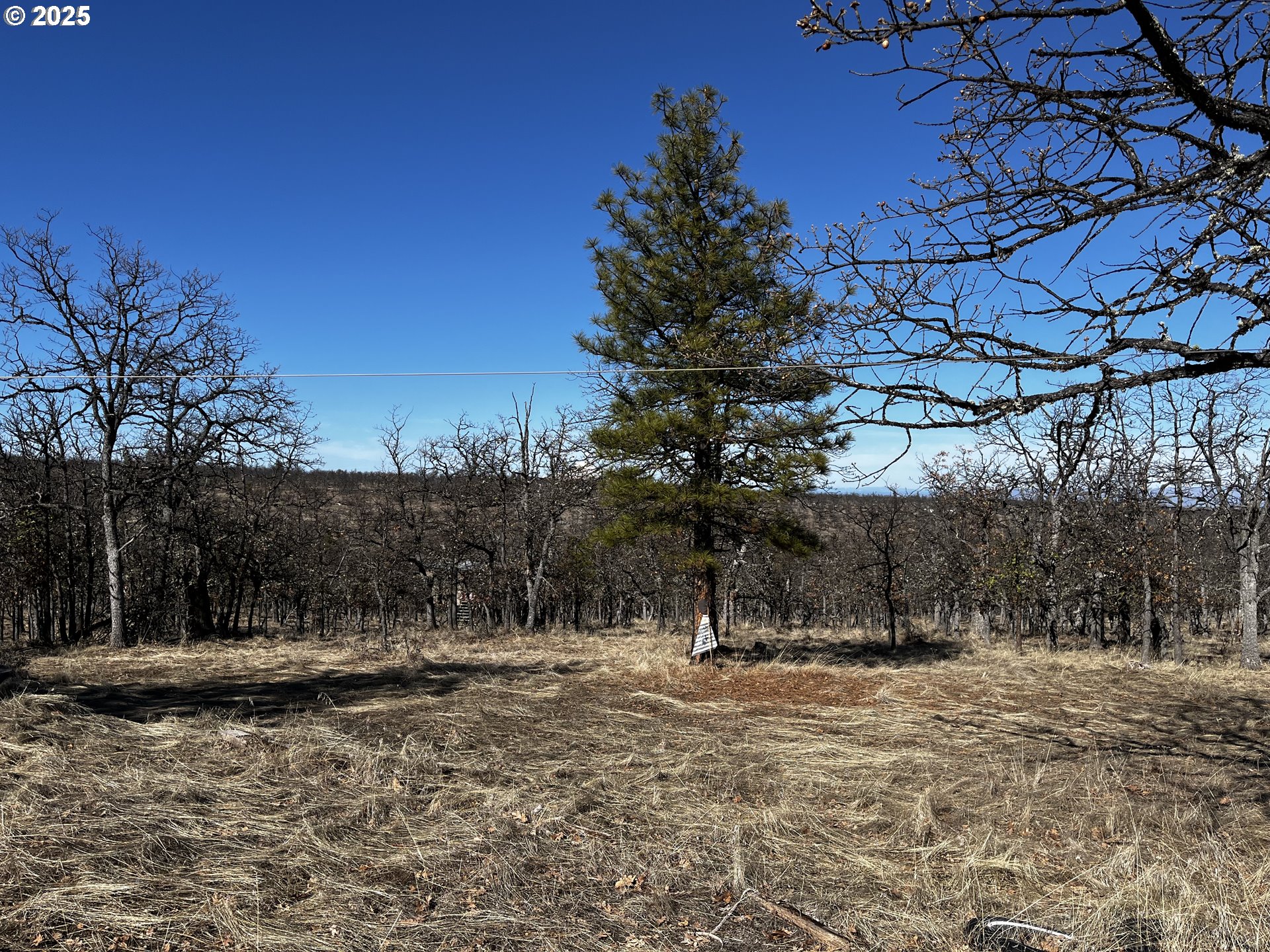 80163 South Ridgetop-s Road Dufur, OR 97021 - Photo 17 of 23 Gallery Image 17