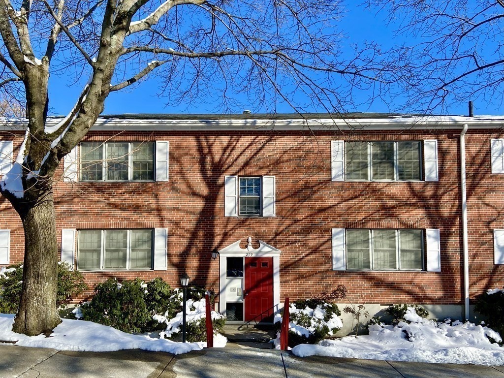 219 Lake Shore Road, Unit 4 Boston, MA 02135 - Photo 1 of 20