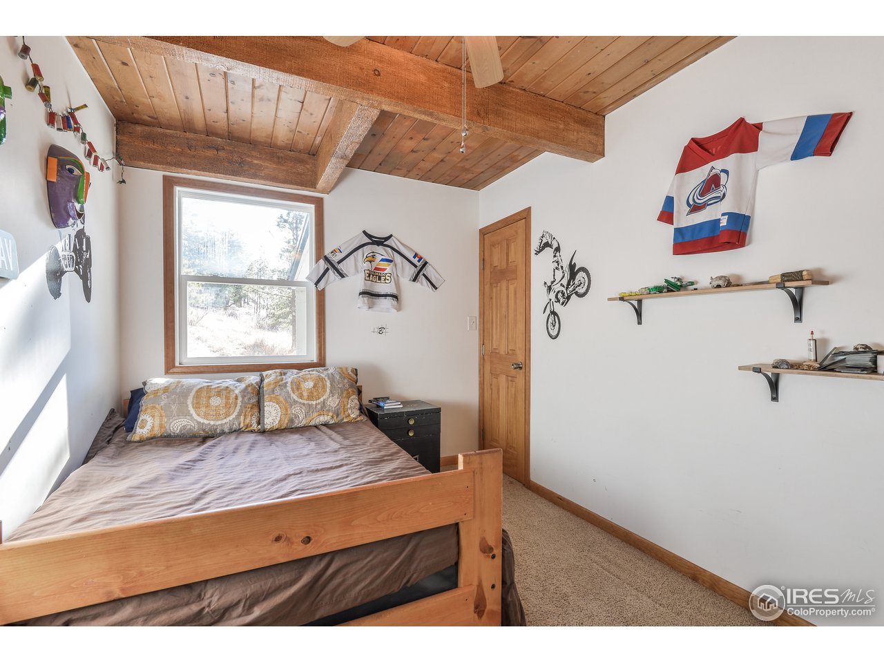 858 Stove Prairie Road Bellvue, CO 80512 - Photo 19 of 37 Gallery Image 19