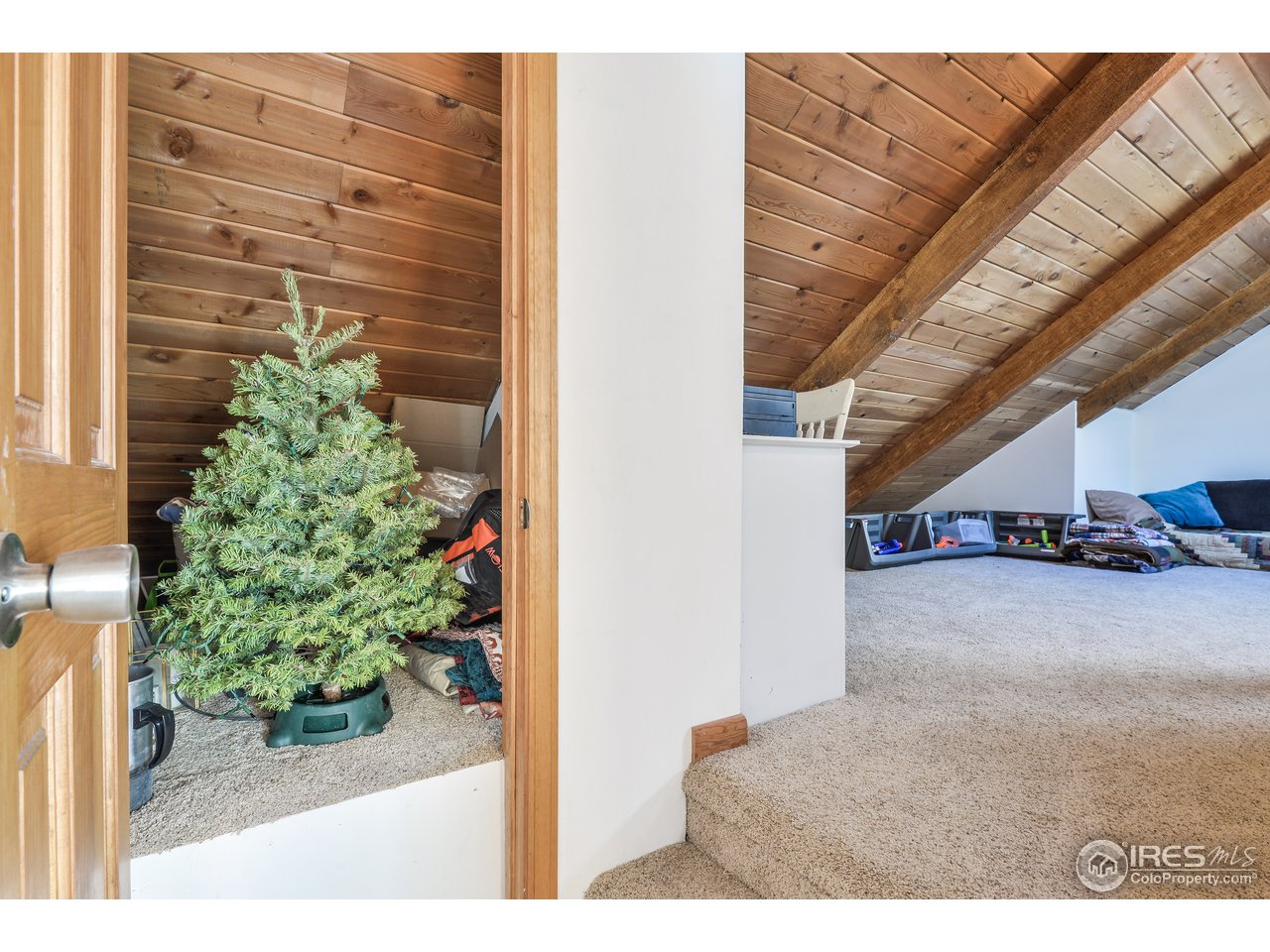 858 Stove Prairie Road Bellvue, CO 80512 - Photo 24 of 37 Lots of Storage