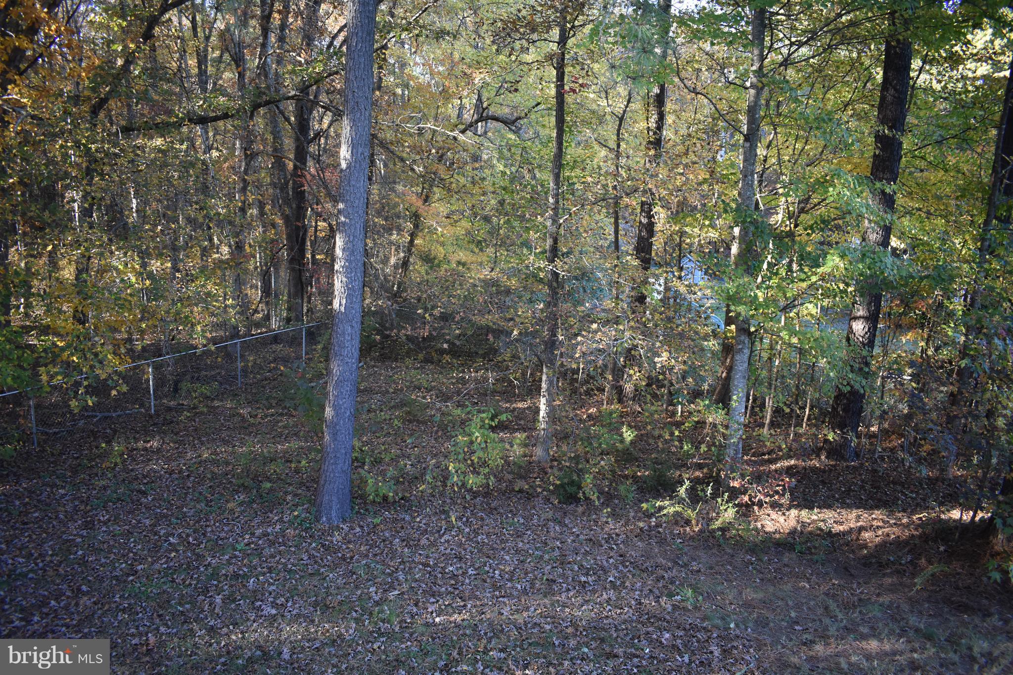 Side yard