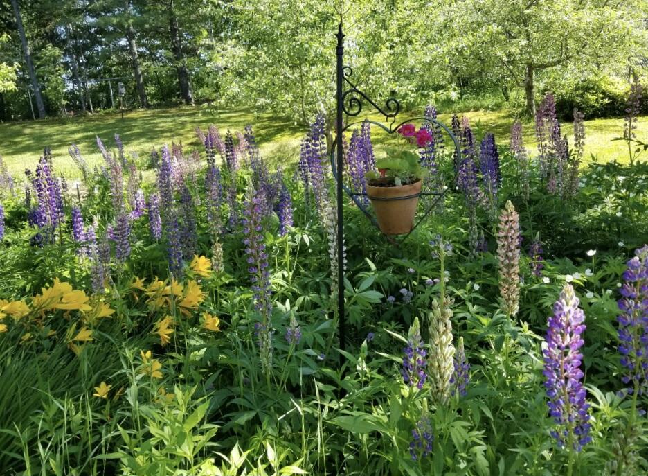 16 North Terrace Millinocket, ME 04462 - Photo 3 of 34 043D9D35-5FE5-4428-9D96-A3CBA0C4CB59