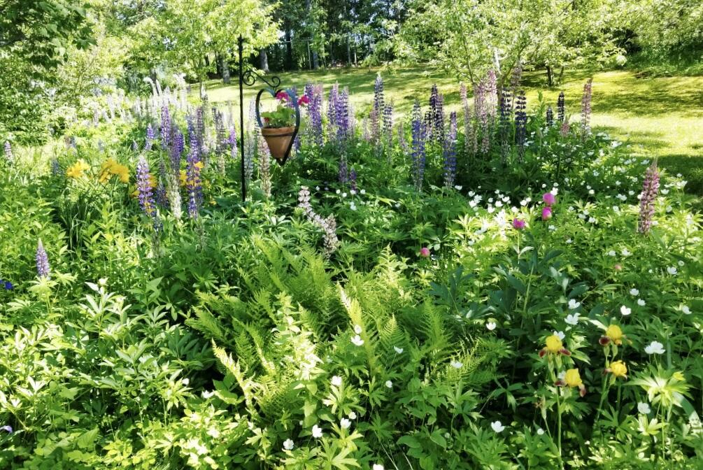 16 North Terrace Millinocket, ME 04462 - Photo 4 of 34 92C986BC-2BEC-4207-8052-2523772C035D