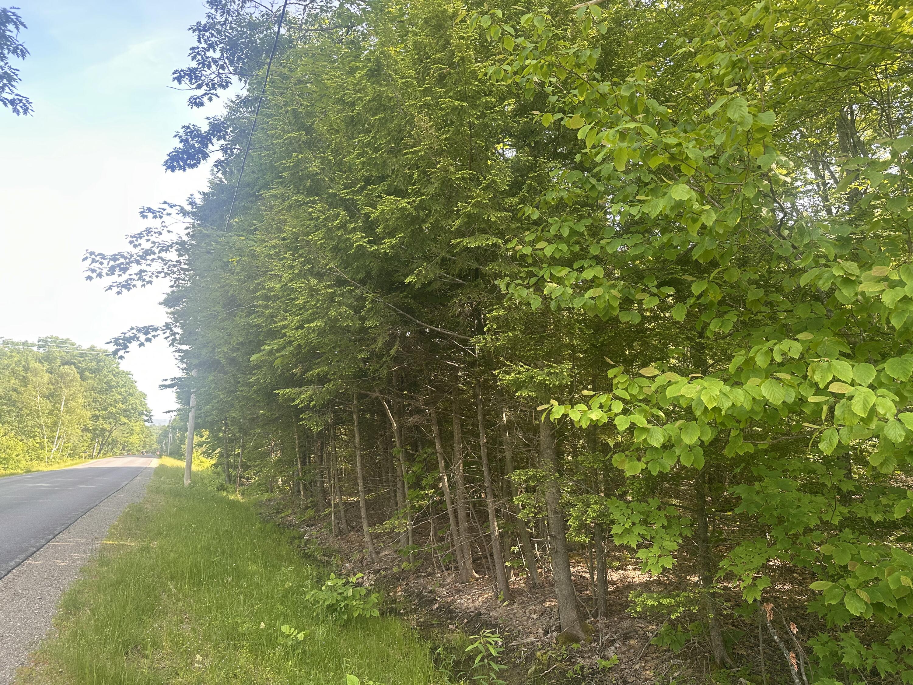 Lot #15 Greenacre Road Lincolnville, ME 04849 - Photo 22 of 23