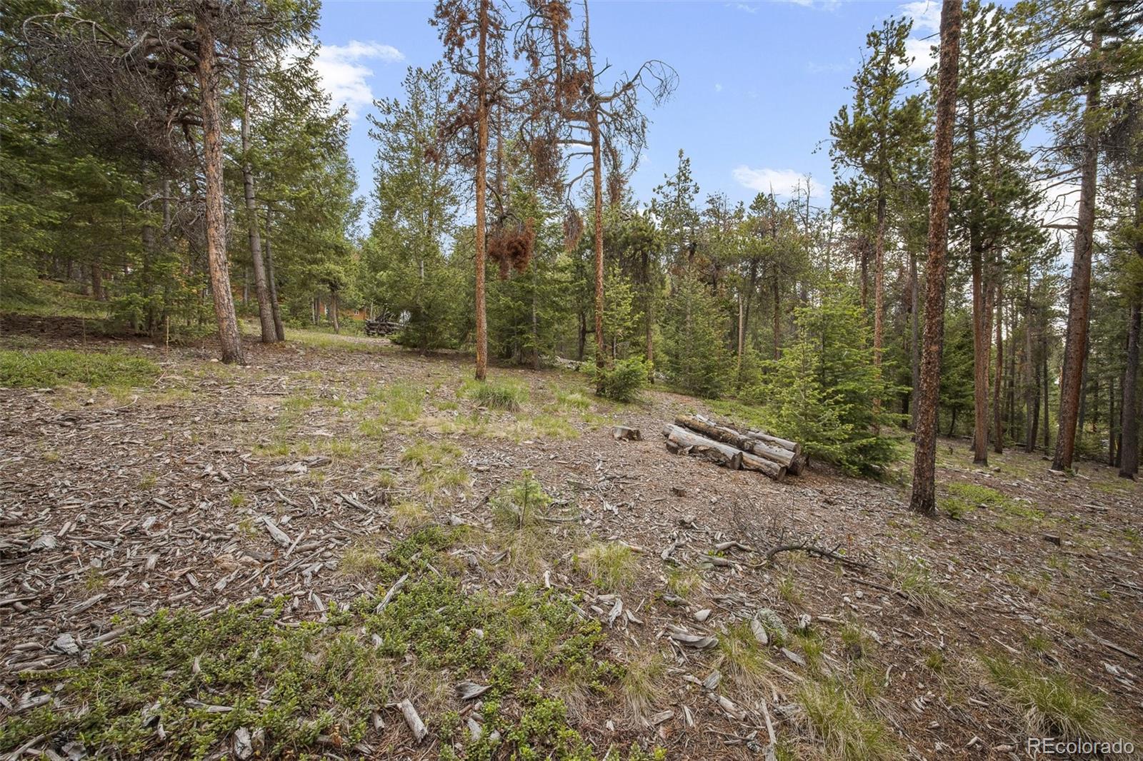 9690 South Warhawk Road Conifer, CO 80433 - Photo 24 of 40