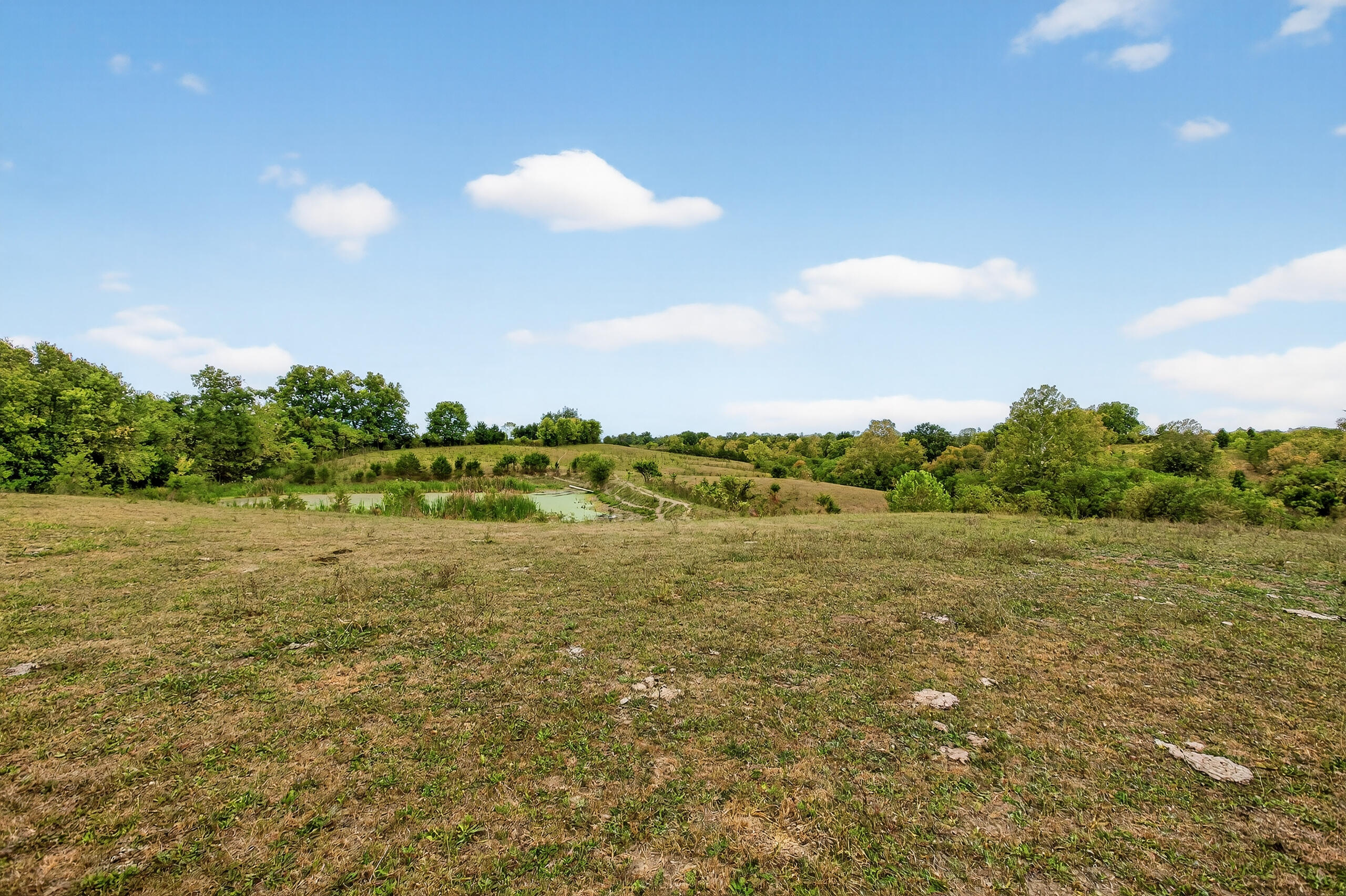 Tract A Goshen Road Stanford, KY 40484 - Photo 25 of 30 Pond