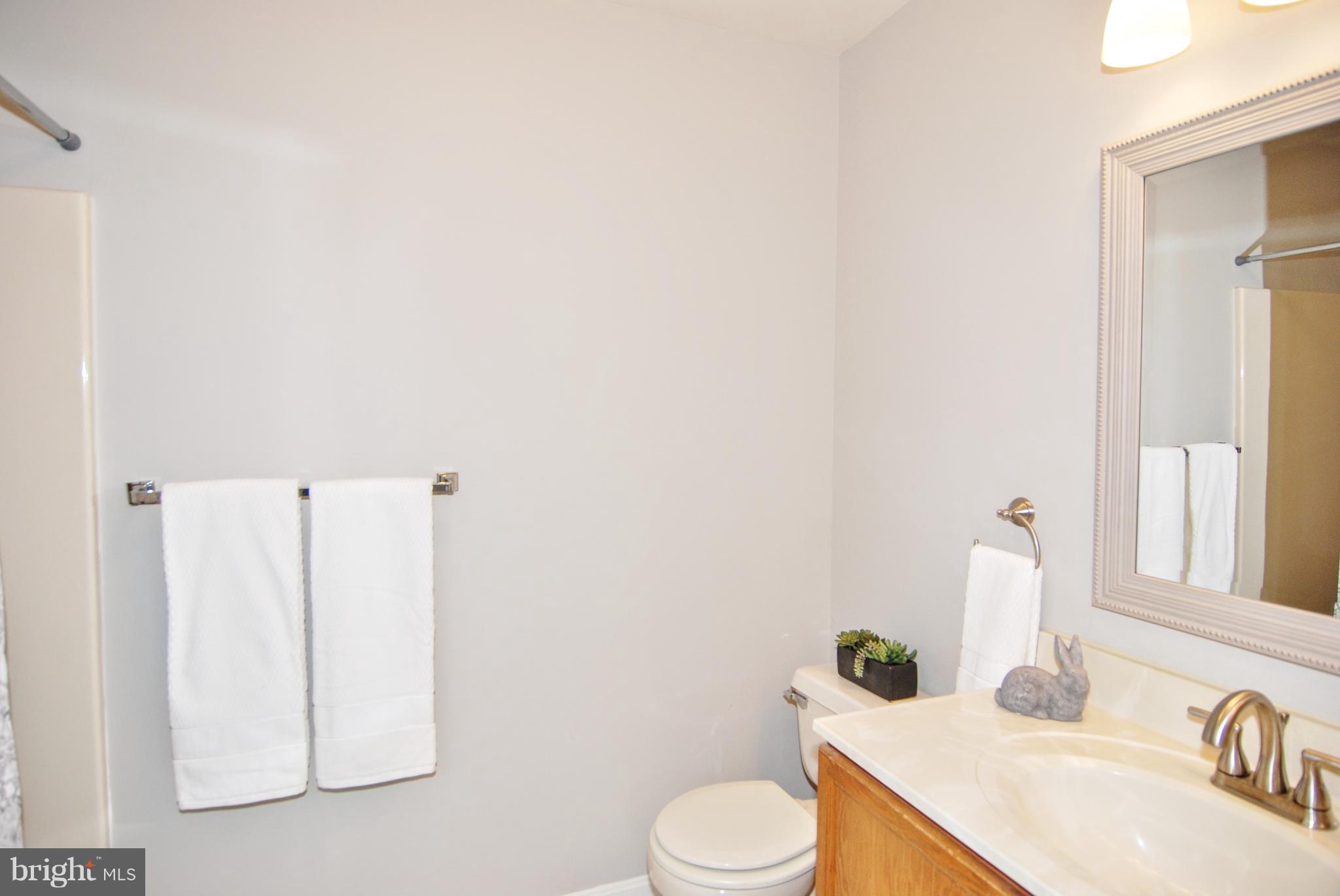 2402 Dominion Drive, Unit 2C Frederick, MD 21702 - Photo 17 of 34 With new fixtures, lighting and a mirror.