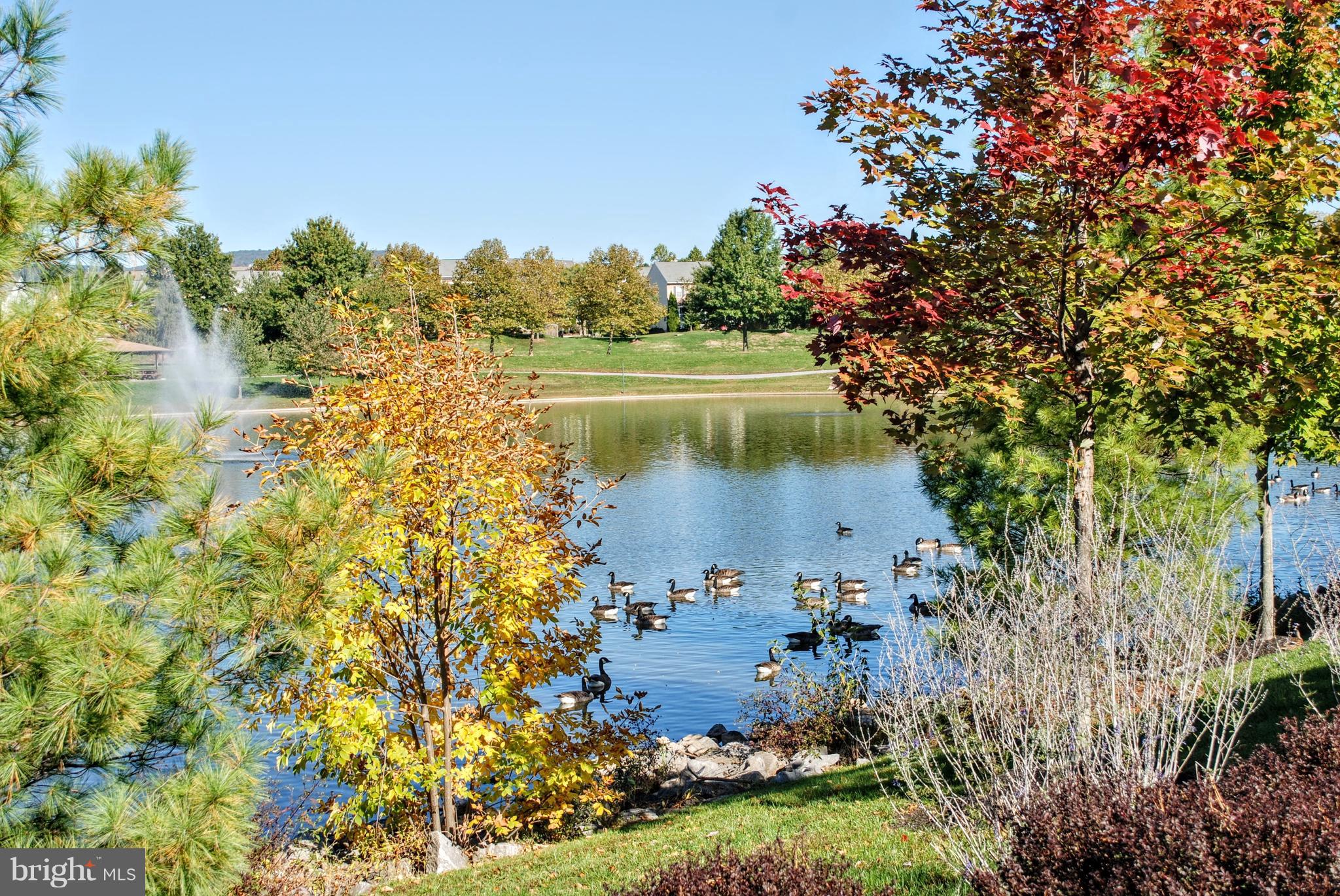 2402 Dominion Drive, Unit 2C Frederick, MD 21702 - Photo 30 of 34 and scattered park benches for nature watching..