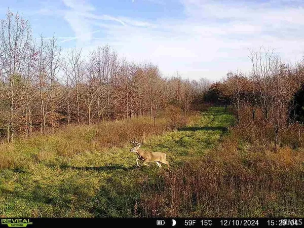 $1,900,000 | 600 South S Cr, Cannelburg, IN 47519