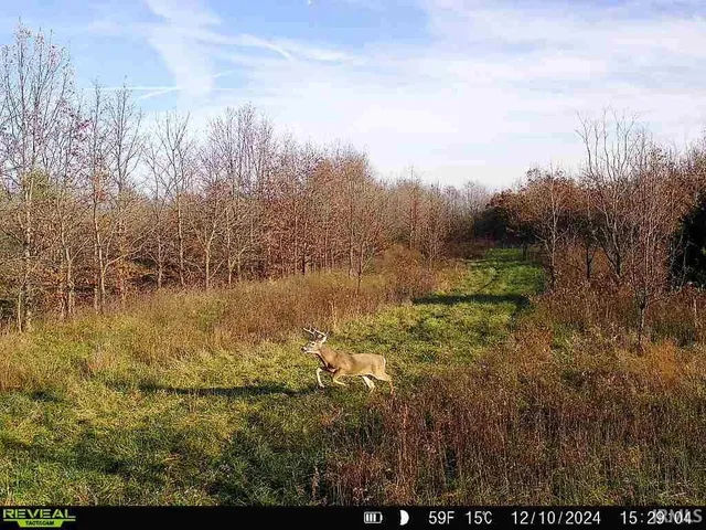 $1,900,000 | 600 South S Cr, Cannelburg, IN 47519