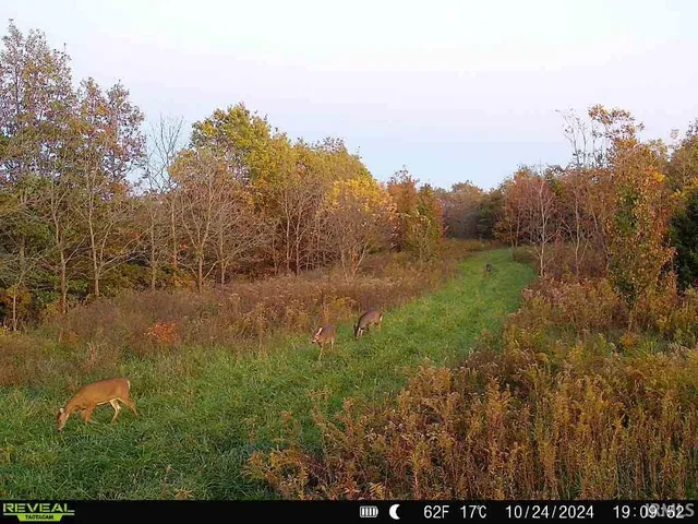 $1,900,000 | 600 South S Cr, Cannelburg, IN 47519