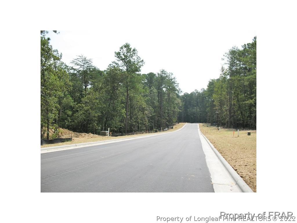 100 Stone Chase Way Spring Lake, NC 28390 - Photo 2 of 11 Gallery Image 2