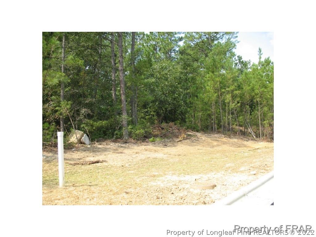 100 Stone Chase Way Spring Lake, NC 28390 - Photo 3 of 11 Gallery Image 3