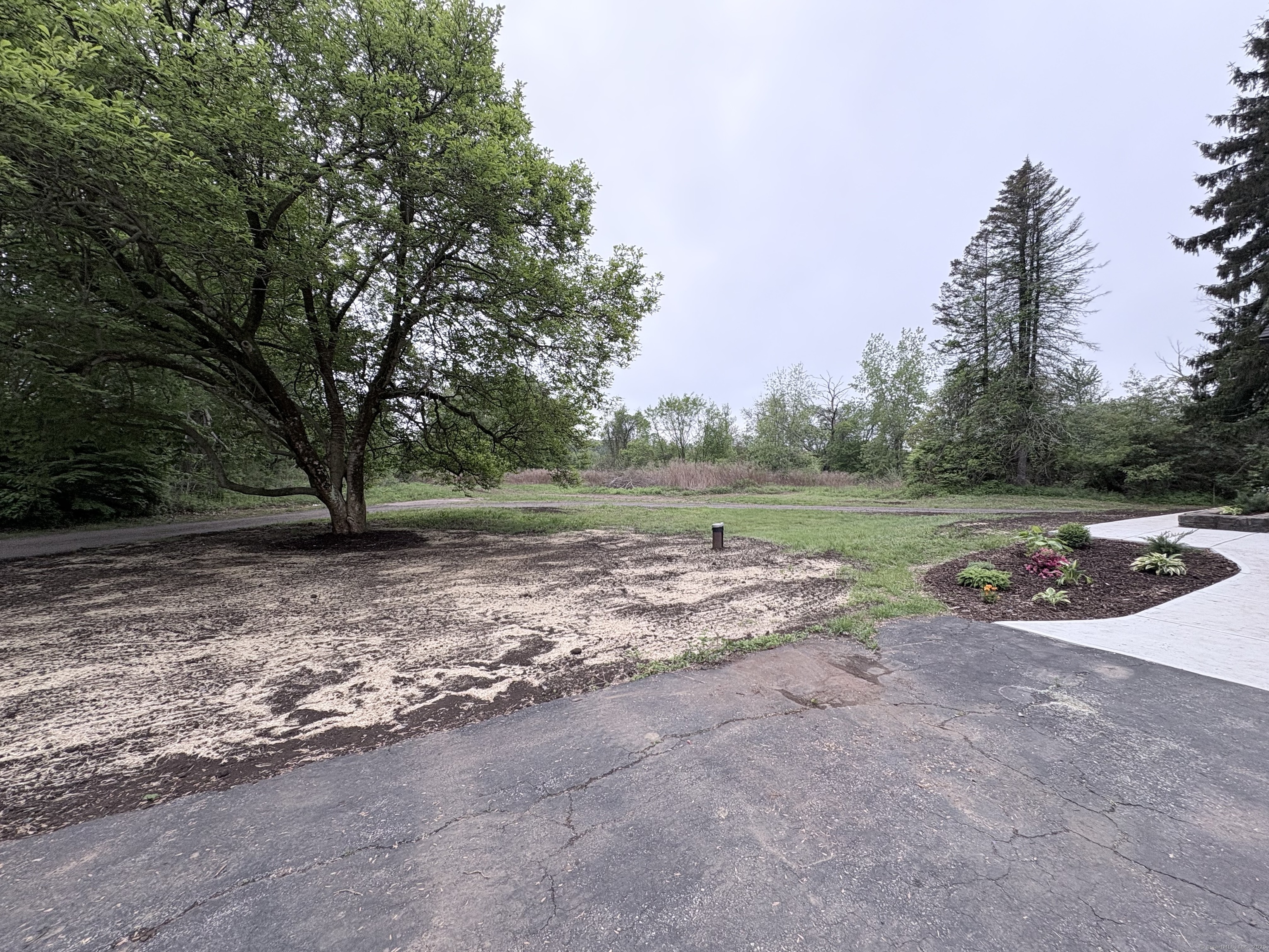 220 West Road Colchester, CT 06415 - Photo 5 of 40 2.7 Acres to play with