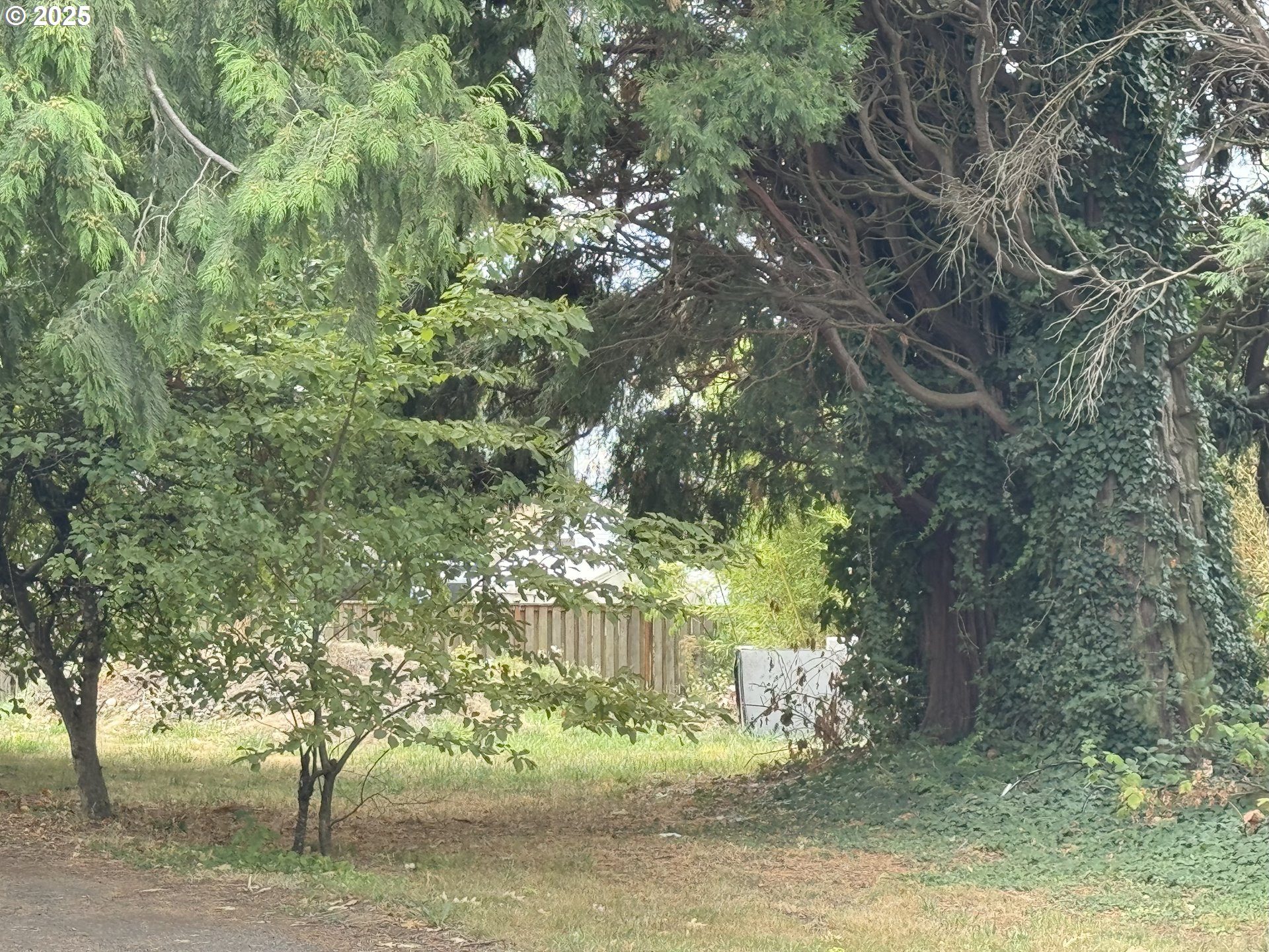 Southeast Powell Valley Road Gresham, OR 97080 - Photo 1 of 1 a view of a yard with a tree