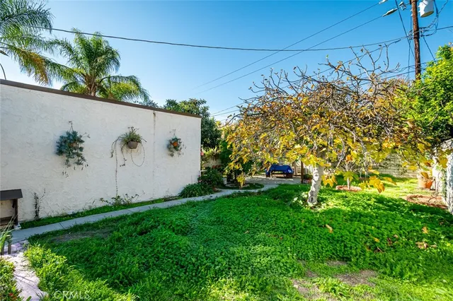 a view of a yard with potted plants