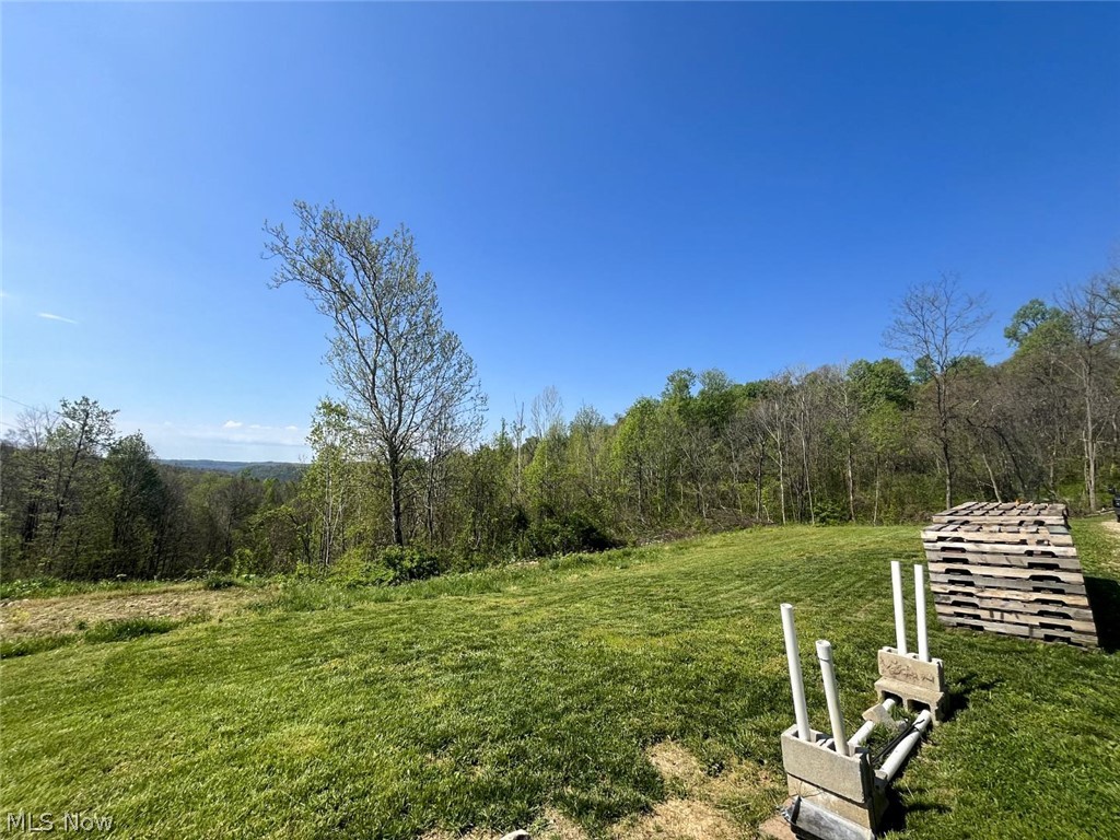 49250 Cowgill Road Summerfield, OH 43788 - Photo 41 of 44