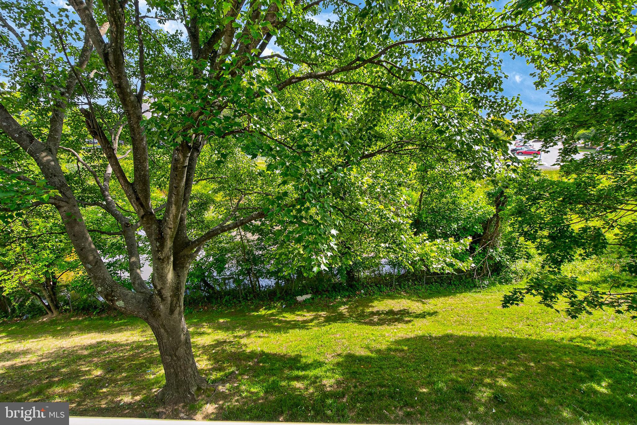 6415 Greenfield Road, Unit 1303 Elkridge, MD 21075 - Photo 24 of 25 View of Pond