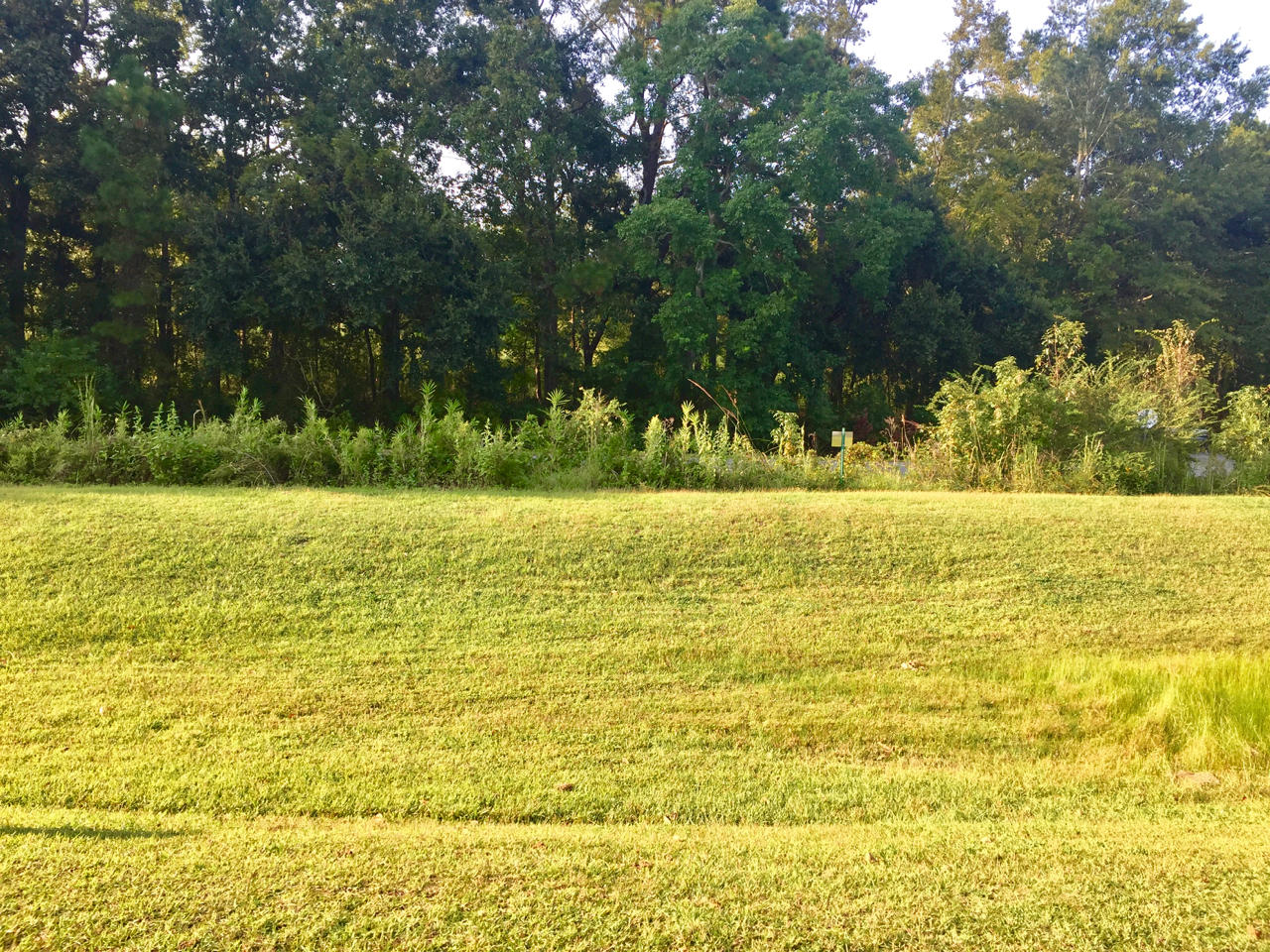 3403 Mariners Way Moncks Corner, SC 29461 - Photo 3 of 3 View from Front Porch