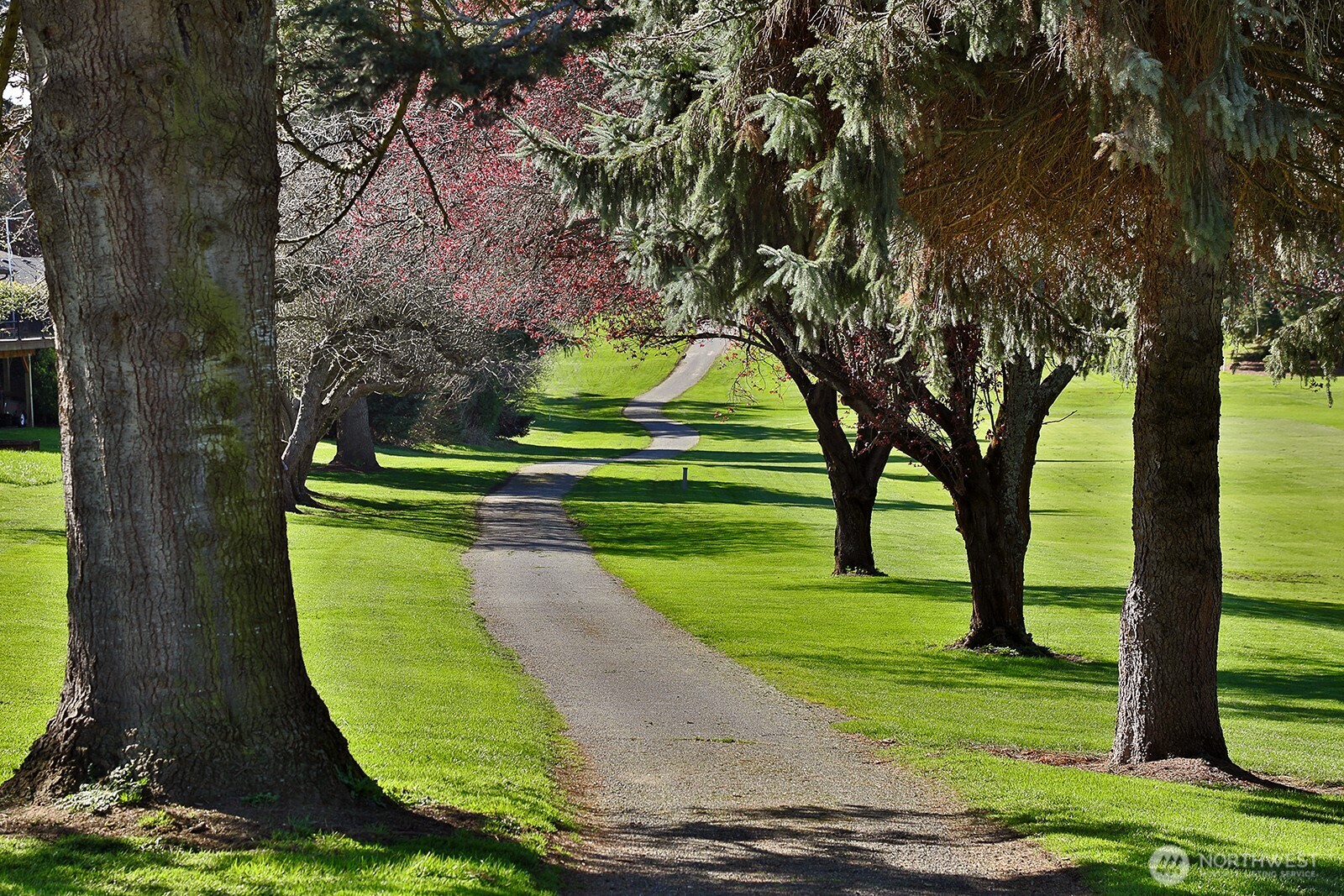 2471 Soundview Drive Langley, WA 98260 - Photo 30 of 38 a view of a park with large trees